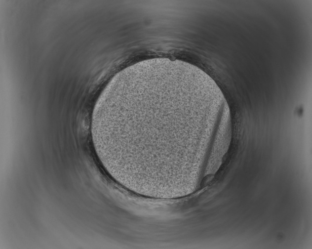 X0000116010040200912101352