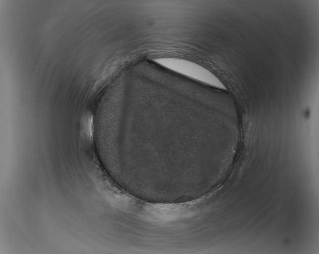 X0000116010041200912101351