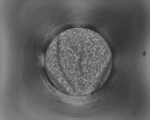 X0000116010042200912101351