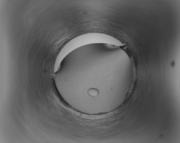 X0000116010043200912101351