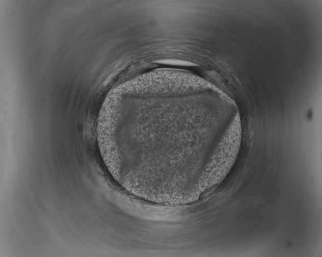 X0000116010044200912101351