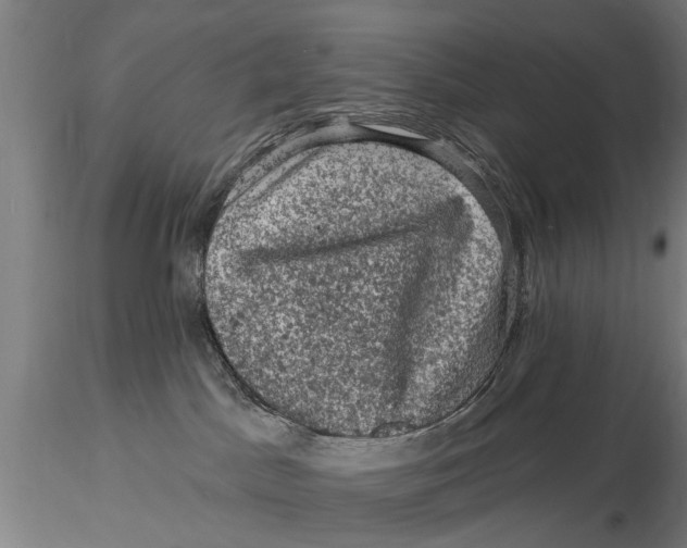 X0000116010045200912101351