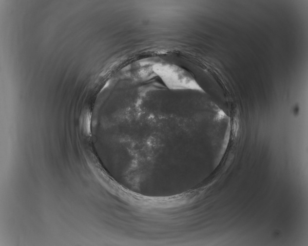 X0000116010046200912101351