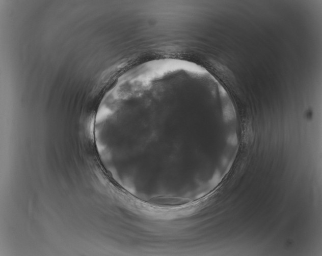 X0000116010047200912101351