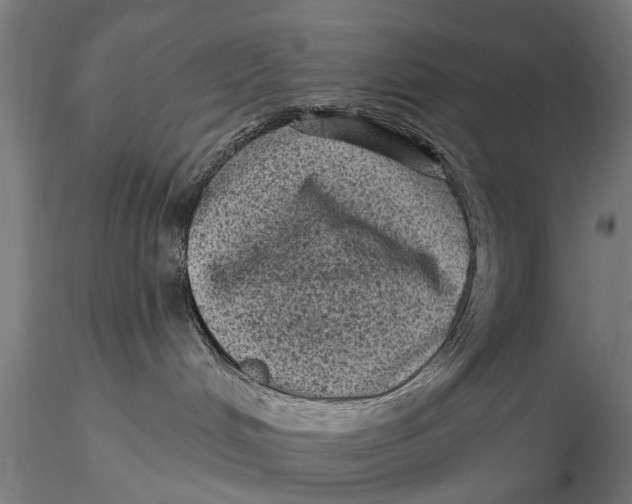 X0000116010048200912101351