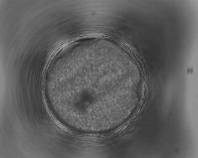 X0000116010049200912101351