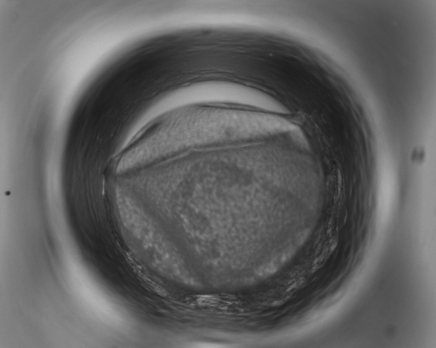 X0000116010050200912101351