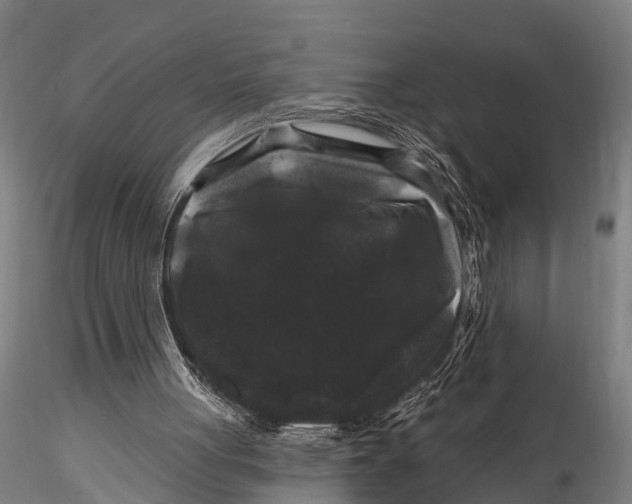 X0000116010051200912101351