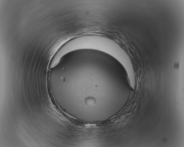 X0000116010052200912101351