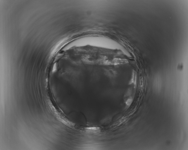 X0000116010053200912101351