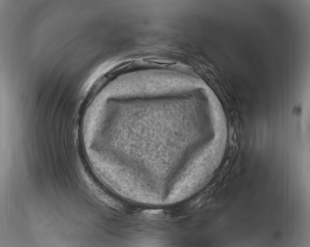 X0000116010054200912101351