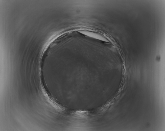 X0000116010055200912101351