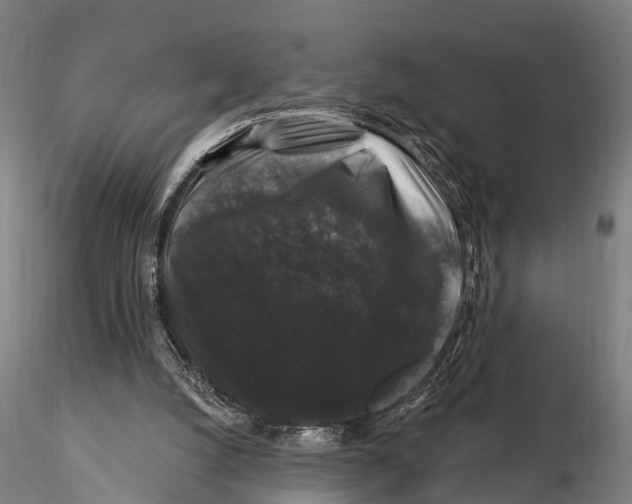 X0000116010056200912101351