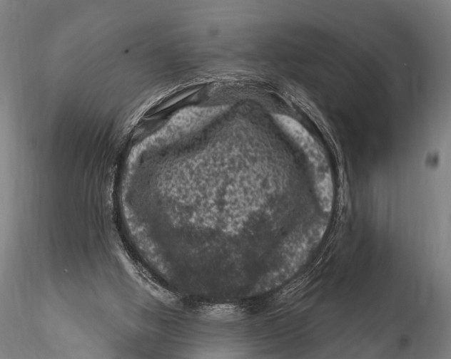 X0000116010058200912101351