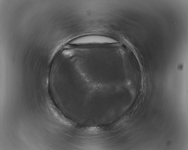 X0000116010059200912101351