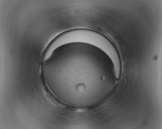 X0000116010060200912101351