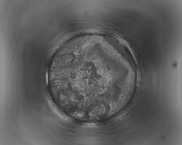 X0000116010061200912101351