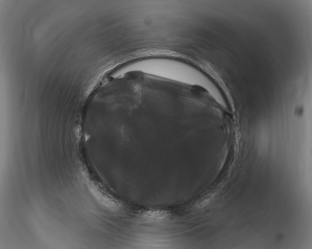 X0000116010063200912101351