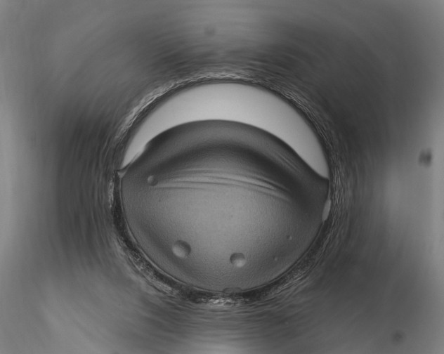 X0000116010064200912101351