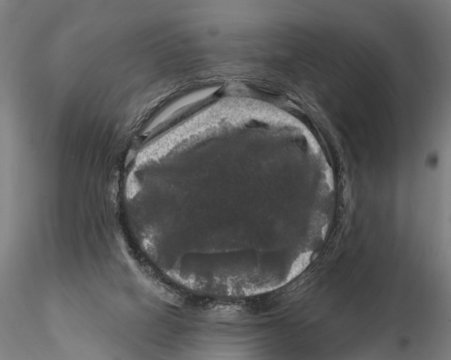 X0000116010066200912101351