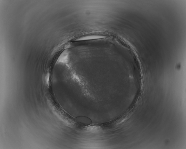 X0000116010067200912101351