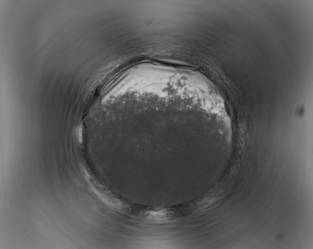 X0000116010068200912101351