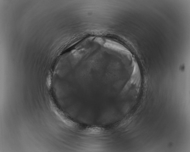 X0000116010069200912101351