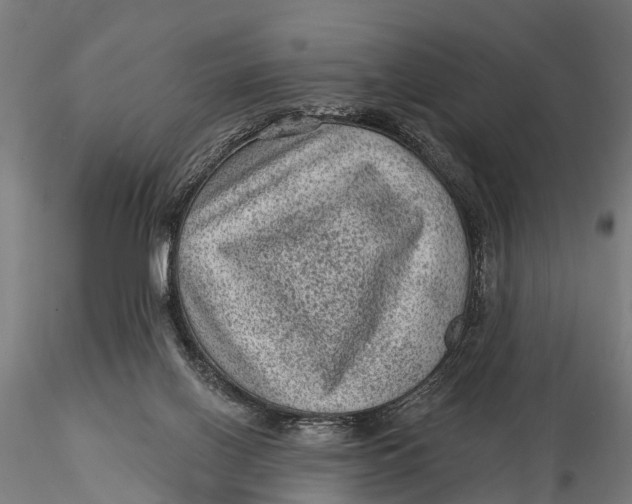 X0000116010070200912101351