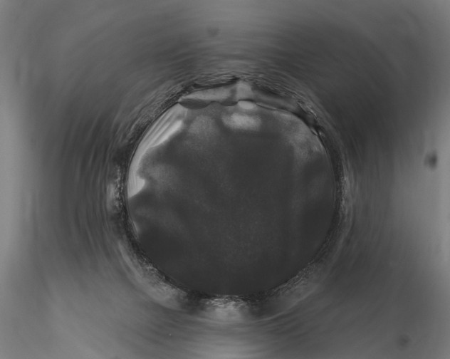 X0000116010073200912101351