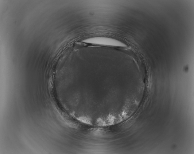 X0000116010074200912101351