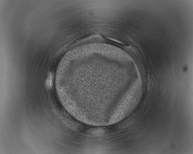 X0000116010075200912101351