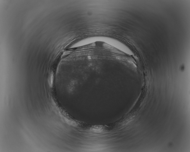 X0000116010076200912101351