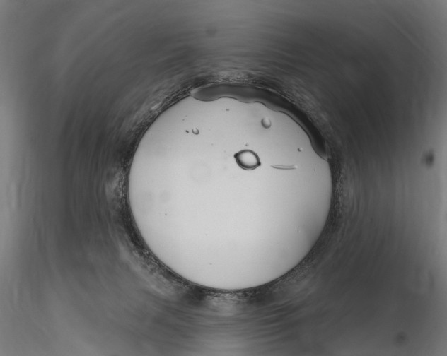 X0000116010079200912101351