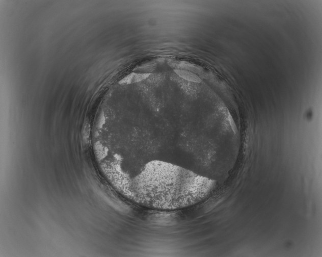 X0000116010081200912101351