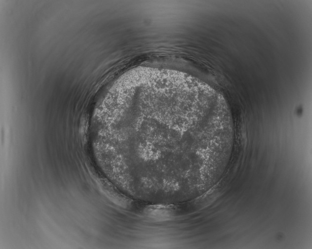 X0000116010082200912101351