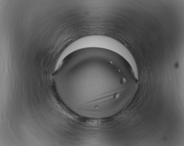 X0000116010084200912101351