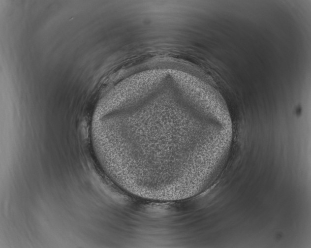 X0000116010086200912101351