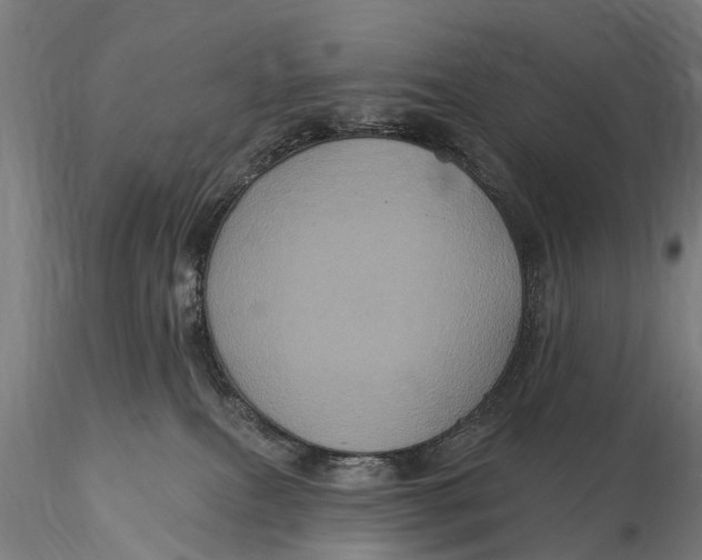 X0000116010087200912101351