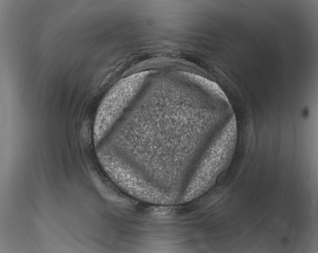 X0000116010088200912101351