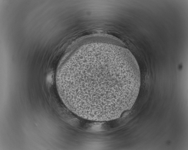 X0000116010090200912101351