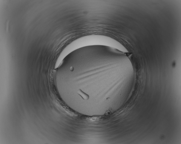 X0000116010092200912101351