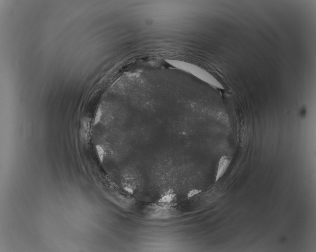 X0000116010093200912101351