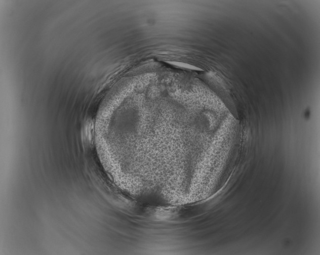 X0000116010094200912101351