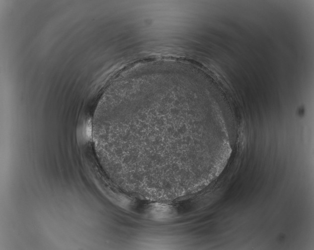 X0000116010095200912101351