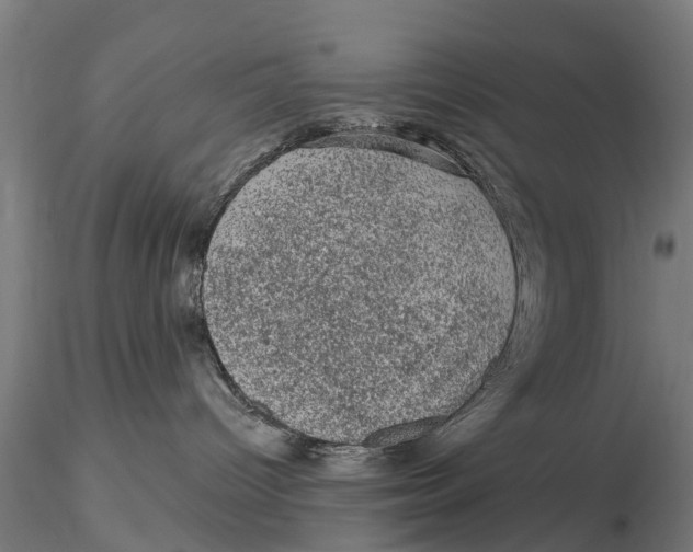 X0000116010096200912101351