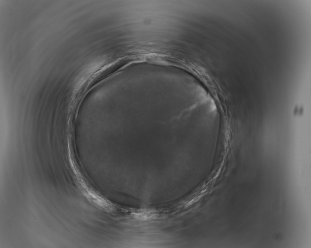 X0000116010097200912101351