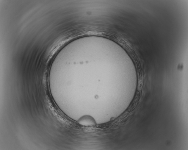 X0000116010098200912101351