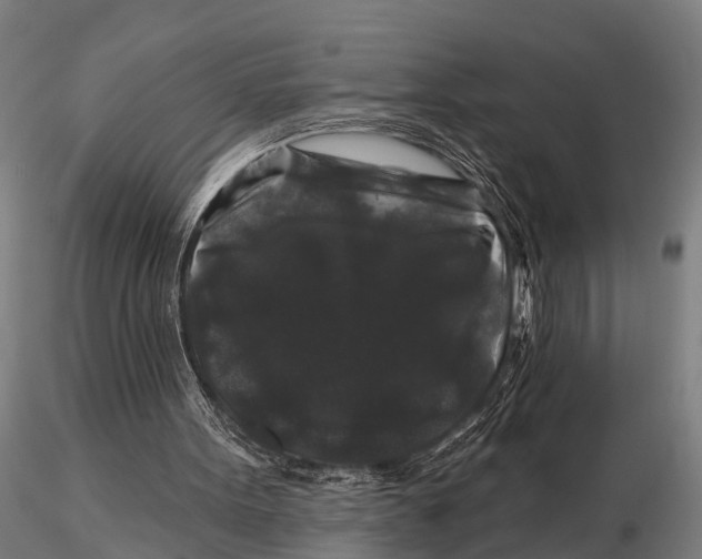 X0000116010099200912101351