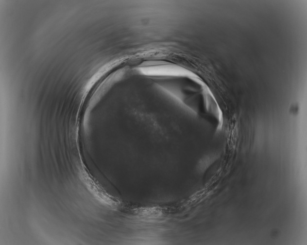 X0000116010100200912101351