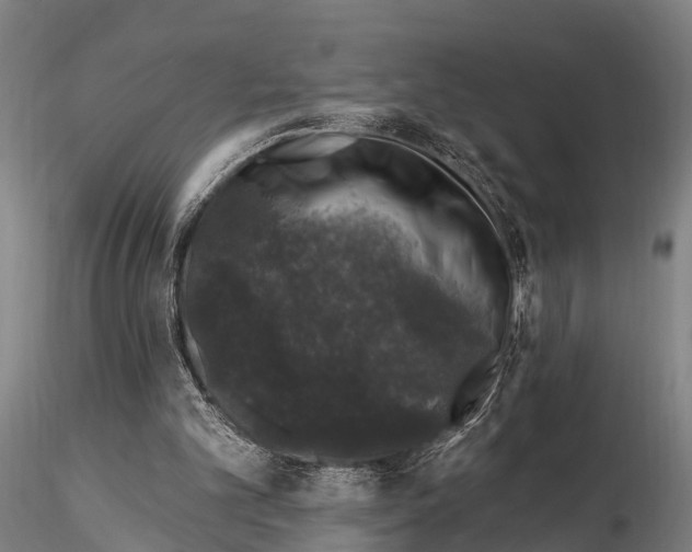 X0000116010101200912101351